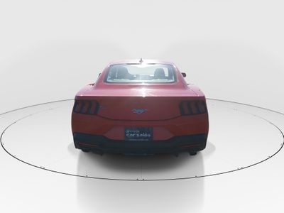 2024 Ford Mustang - Photo 6