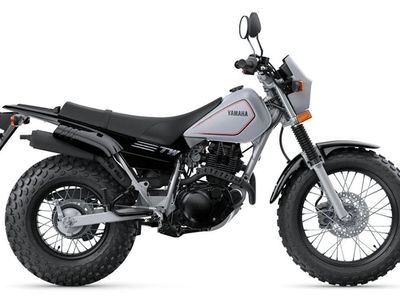 2026 Yamaha TW200 - Photo 4