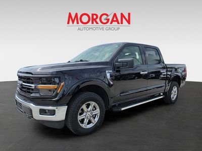 2025 Ford F-150 - Photo 7