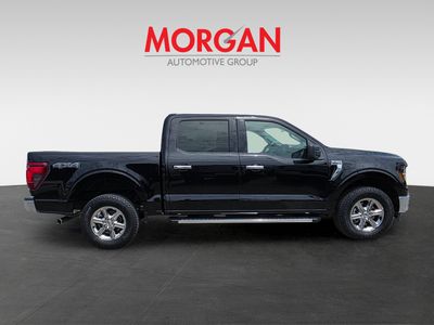 2025 Ford F-150 - Photo 2