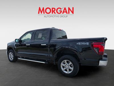 2025 Ford F-150 - Photo 5