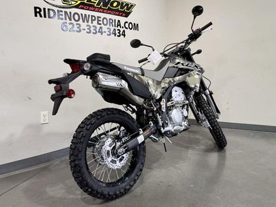 2026 Kawasaki KLX300 Cypher Camo Beige - Photo 3