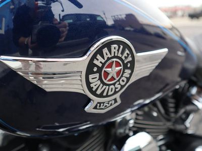 2013 Harley-Davidson FLSTF - Softail Fat Boy - Photo 8