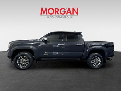 2024 Toyota Tacoma - Photo 6