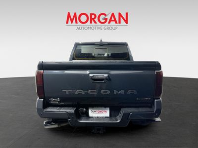 2024 Toyota Tacoma - Photo 4