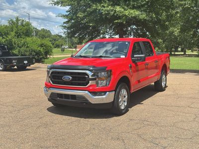 2023 Ford F-150 - Photo 3