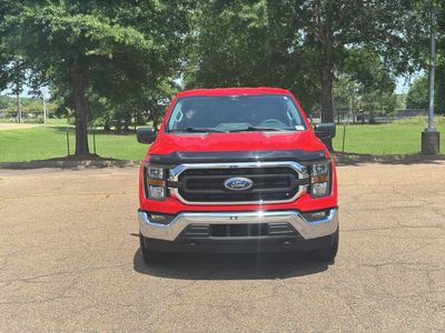 2023 Ford F-150 - Photo 2