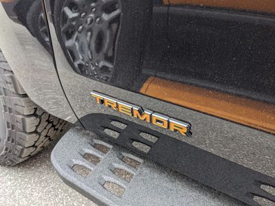 2026 Ford Expedition - Photo 11
