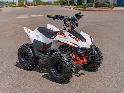 2025 Kayo Fox / Storm 70 - Photo 2