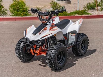 2025 Kayo Fox / Storm 70 - Photo 3