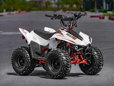 2025 Kayo Fox / Storm 70 - Photo 1