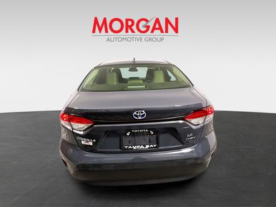 2025 Toyota Corolla Hybrid - Photo 4