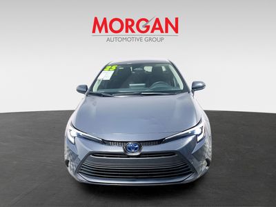 2025 Toyota Corolla Hybrid - Photo 8