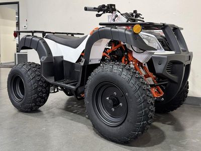 2025 Kayo Bull 150 EFI - Photo 2