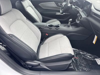 2025 Ford Mustang - Photo 13