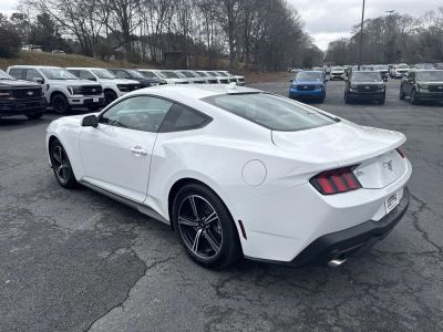 2025 Ford Mustang - Photo 5