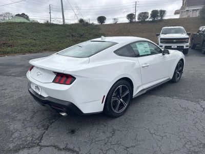 2025 Ford Mustang - Photo 7