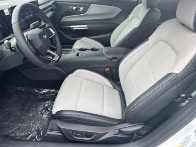 2025 Ford Mustang - Photo 9