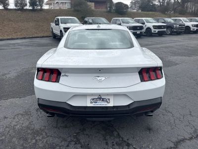 2025 Ford Mustang - Photo 6