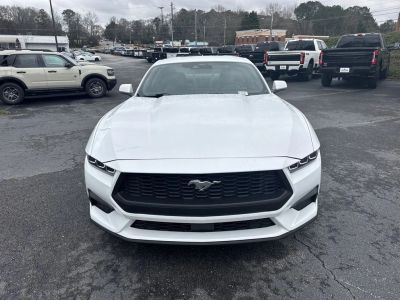 2025 Ford Mustang - Photo 2