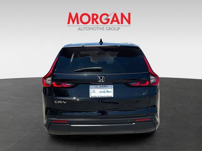 2024 Honda CR-V - Photo 6