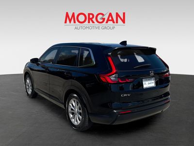2024 Honda CR-V - Photo 5