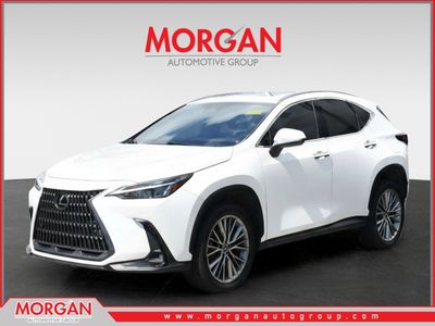 2023 Lexus NX - Photo 1