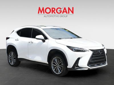 2023 Lexus NX - Photo 3