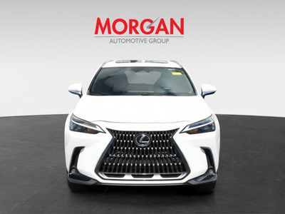 2023 Lexus NX - Photo 2