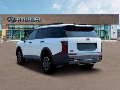 2026 Hyundai PALISADE — detail view