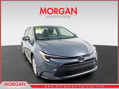 2025 Toyota Corolla Hybrid - Photo 1