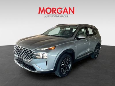 2023 Hyundai Santa Fe - Photo 4