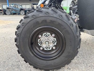 2025 Yamaha Raptor 700 - Photo 18