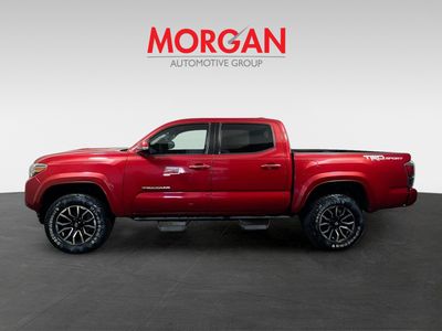 2020 Toyota Tacoma - Photo 6