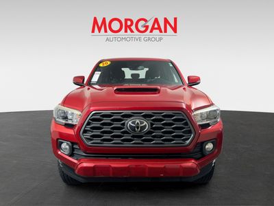 2020 Toyota Tacoma - Photo 8