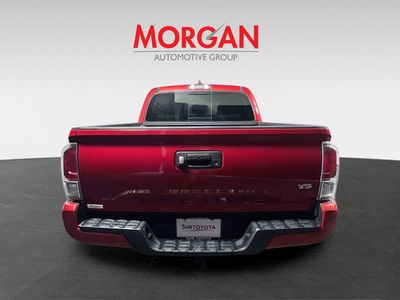 2020 Toyota Tacoma - Photo 4