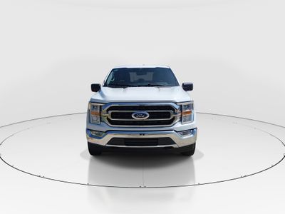 2023 Ford F-150 — side profile view