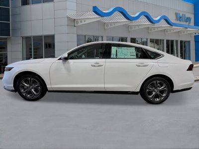 2026 Honda Accord Hybrid — side profile view