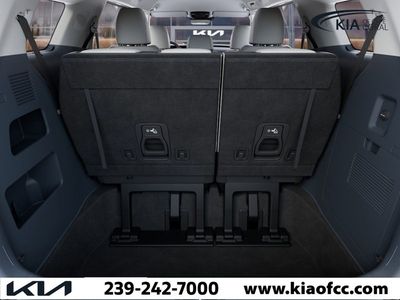 2026 Kia Carnival Hybrid — photo 19 view