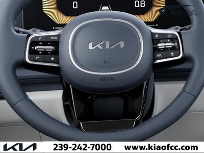 2026 Kia Carnival Hybrid — photo 22 view