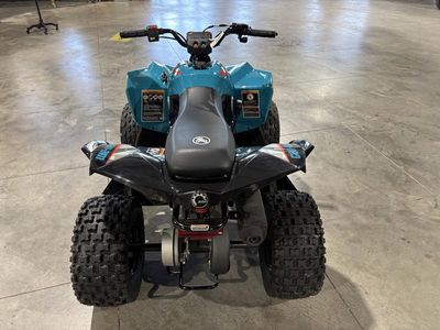2026 Can-Am Renegade 70 EFI - Photo 6