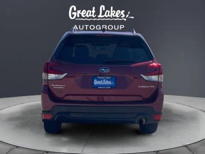 2023 Subaru Forester — interior view