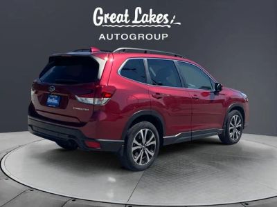 2023 Subaru Forester — detail view