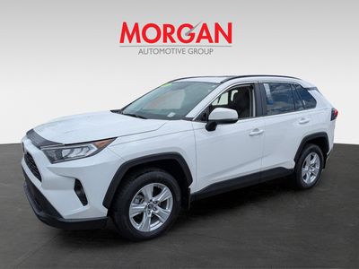 2019 Toyota RAV4 - Photo 8