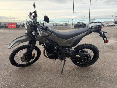 2026 Kawasaki KLX230 DF ABS - Photo 2