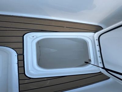 2025 Sea Ray SDX 270 - Photo 11