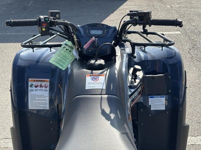 2025 Kawasaki Brute Force 300 - Photo 4