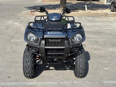 2025 Kawasaki Brute Force 300 - Photo 2
