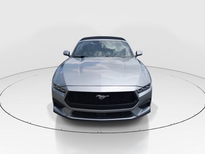 2024 Ford Mustang - Photo 2
