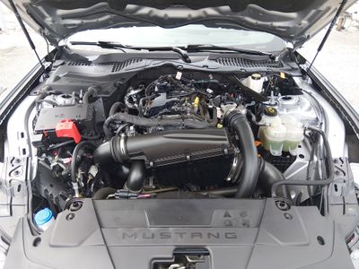 2024 Ford Mustang - Photo 9